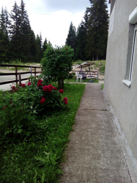 Guesthouse Andrea A Žabljak Exterior foto